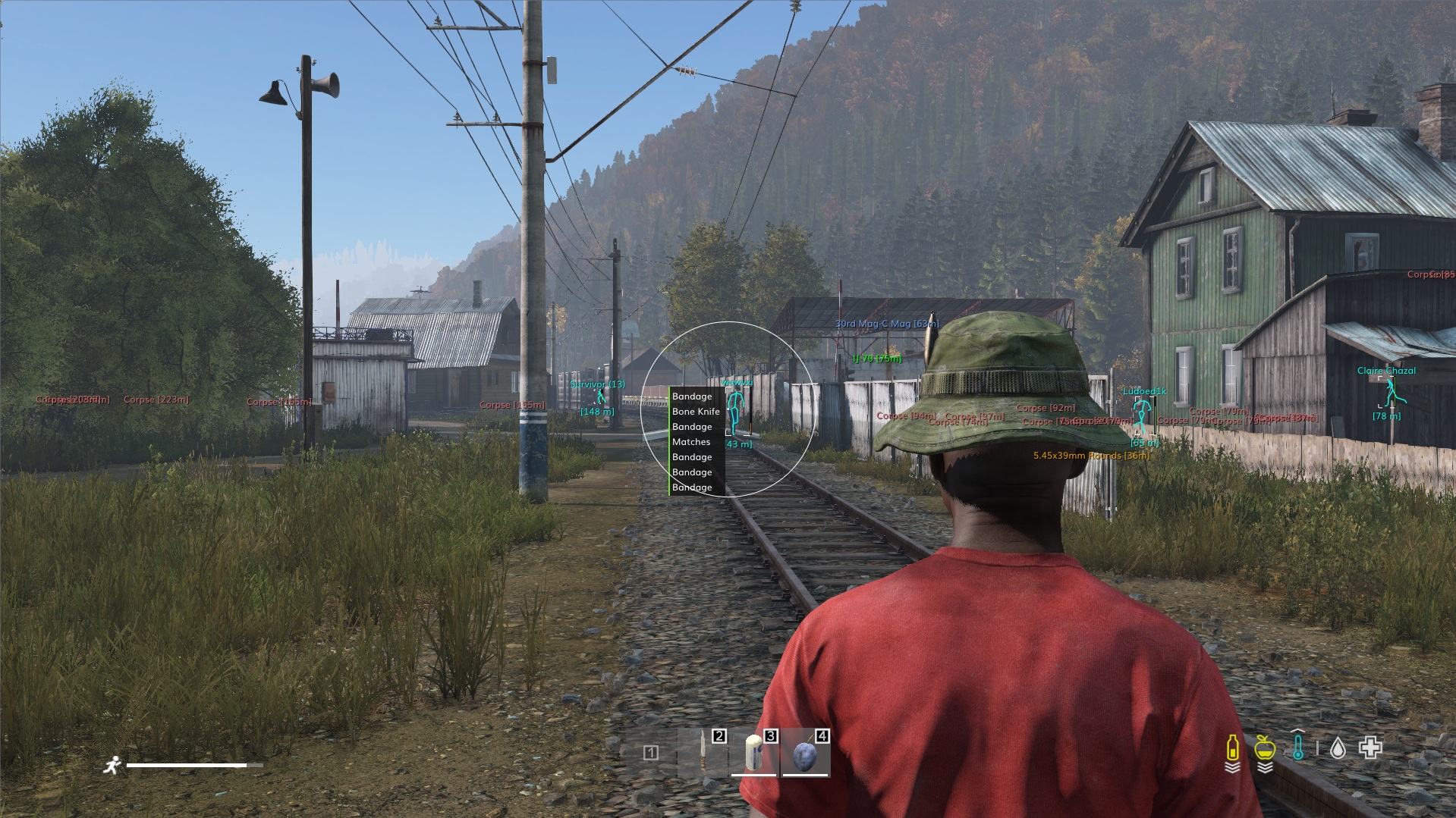 dayz preview